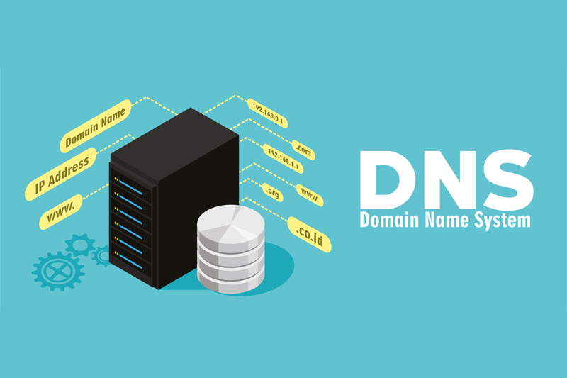DNS (Domain Name System) TXT Nedir? DNS TXT Kaydı Nasıl Yapılır?