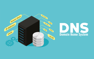 DNS (Domain Name System) TXT Nedir? DNS TXT Kaydı Nasıl Yapılır?
