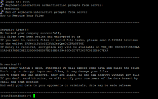 VMware Açığından Etkilenen Sanal Sunucuyu Kurtarma (Kripto Virüs)
